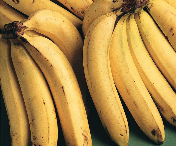 plátanos 