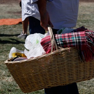 Canasta-picnic