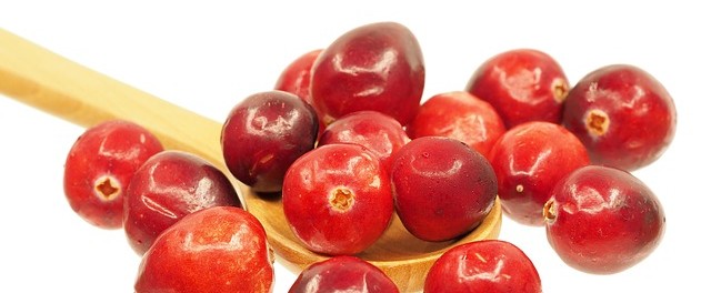 cranberry-1767425_640