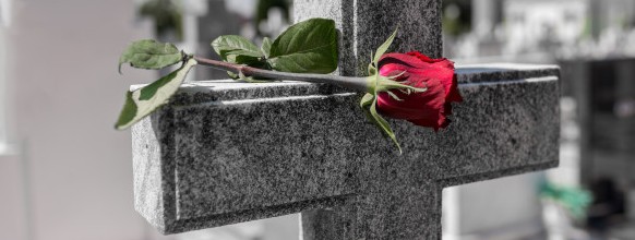 rose-cementerio-lapida_11055-936